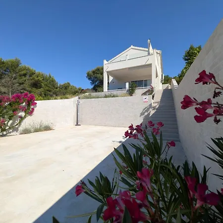 The Olive Tree Appartement