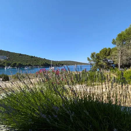 Appartement The Olive Tree Dragove