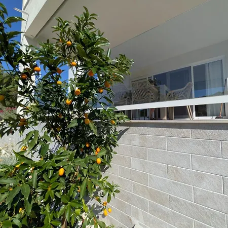 The Olive Tree Appartement