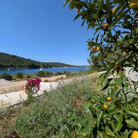 Appartement The Olive Tree Dragove